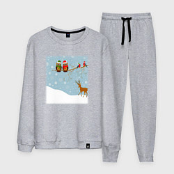 Костюм хлопковый мужской Новогодние птицы на ветке, цвет: меланж