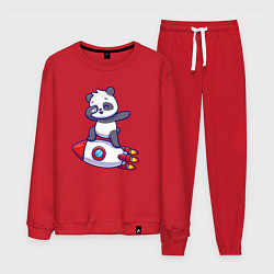 Мужской костюм Rocket panda