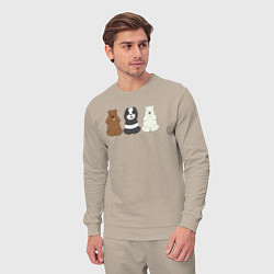 Костюм хлопковый мужской Три мишки, цвет: миндальный — фото 2