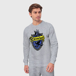 Костюм хлопковый мужской Ravenclaw emblem, цвет: меланж — фото 2