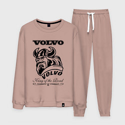 Мужской костюм Volvo viking