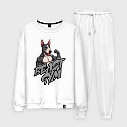 Мужской костюм Beast gym dog