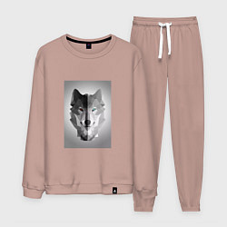 Костюм хлопковый мужской Wolf energi, цвет: пыльно-розовый