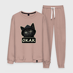 Костюм хлопковый мужской Кот в капюшоне, окак, мем, цвет: пыльно-розовый