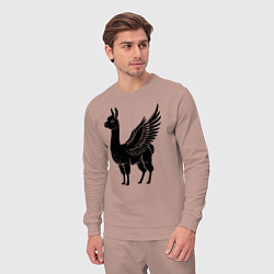 Костюм хлопковый мужской Крылатая альпака, цвет: пыльно-розовый — фото 2