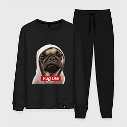 Мужской костюм Pug life