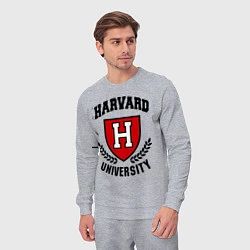 Костюм хлопковый мужской Harvard University, цвет: меланж — фото 2