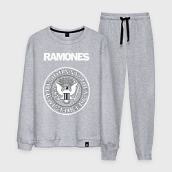 Мужской костюм Ramones