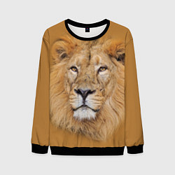 Свитшот мужской Царский лев, цвет: 3D-черный