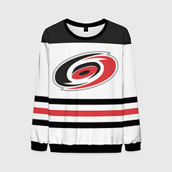 Свитшот мужской Carolina Hurricanes, цвет: 3D-черный