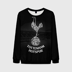 Свитшот мужской Tottenham Hotspur, цвет: 3D-черный