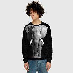 Свитшот мужской Старый слон, цвет: 3D-черный — фото 2