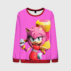 Мужской свитшот Amy Rose