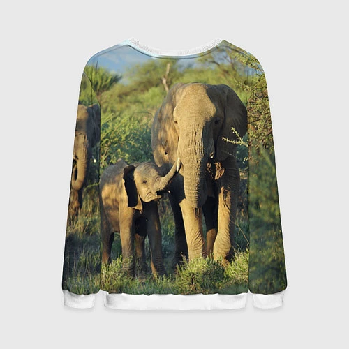 Мужской свитшот Семья слонов в природе / 3D-Белый – фото 2