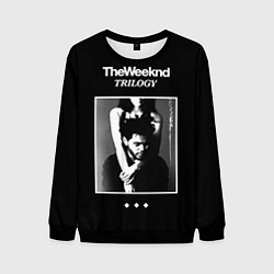 Свитшот мужской The Weeknd: Trilogy, цвет: 3D-черный
