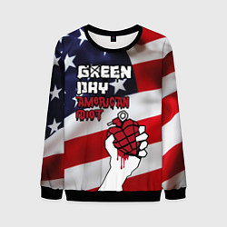 Свитшот мужской Green Day American Idiot, цвет: 3D-черный