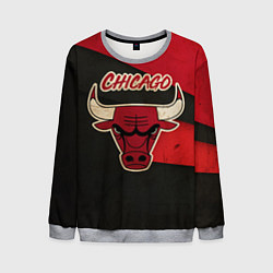 Мужской свитшот Chicago Bulls: Old Style