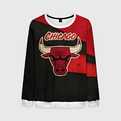 Мужской свитшот Chicago Bulls: Old Style