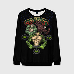 Мужской свитшот Battletoads Trio