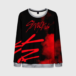 Свитшот мужской Stray Kids, цвет: 3D-меланж