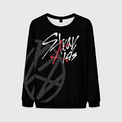 Свитшот мужской Stray Kids, цвет: 3D-черный