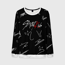 Мужской свитшот STRAY KIDS