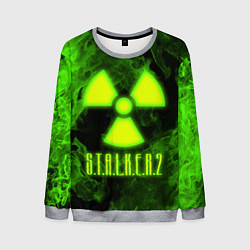 Свитшот мужской STALKER 2, цвет: 3D-меланж