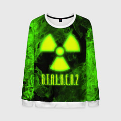 Свитшот мужской STALKER 2, цвет: 3D-белый