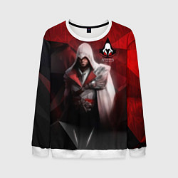 Мужской свитшот Assasin's creed