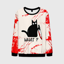 Мужской свитшот What cat