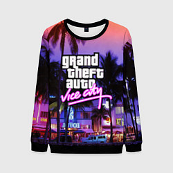 Свитшот мужской Grand Theft Auto Vice City, цвет: 3D-черный