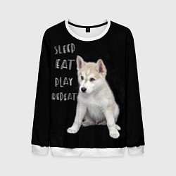 Мужской свитшот Sleep Eat Play Repeat Хаски щенок