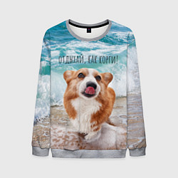 Свитшот мужской Отдыхай, как корги!, цвет: 3D-меланж