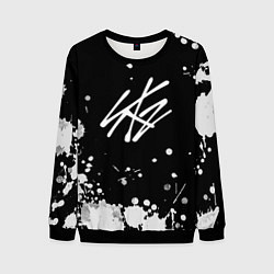 Свитшот мужской Stray Kids, цвет: 3D-черный