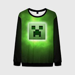 Свитшот мужской MINECRAFT, цвет: 3D-черный
