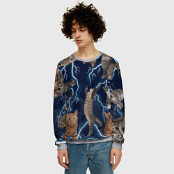 Свитшот мужской Коты, цвет: 3D-меланж — фото 2
