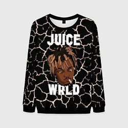 Мужской свитшот Juice WRLD