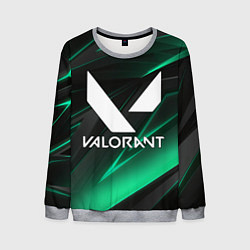 Мужской свитшот VALORANT