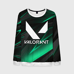Мужской свитшот VALORANT
