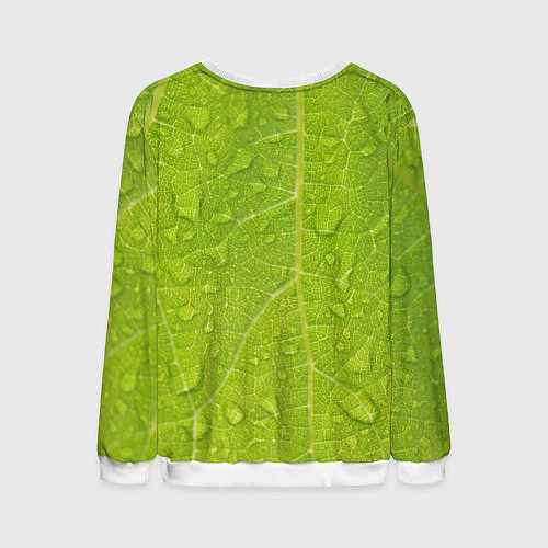 Мужской свитшот Листок с росой / 3D-Белый – фото 2