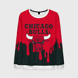 Свитшот мужской Chicago Bulls, цвет: 3D-белый
