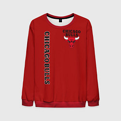 Свитшот мужской CHICAGO BULLS, цвет: 3D-красный