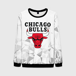 Свитшот мужской CHICAGO BULLS, цвет: 3D-черный