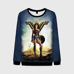 Свитшот мужской Wonder Woman, цвет: 3D-черный