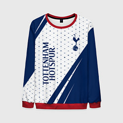 Свитшот мужской TOTTENHAM HOTSPUR Тоттенхэм, цвет: 3D-красный