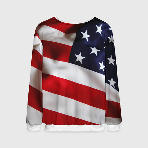 Мужской свитшот США USA / 3D-Белый – фото 2