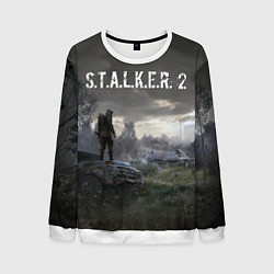 Свитшот мужской STALKER 2, цвет: 3D-белый