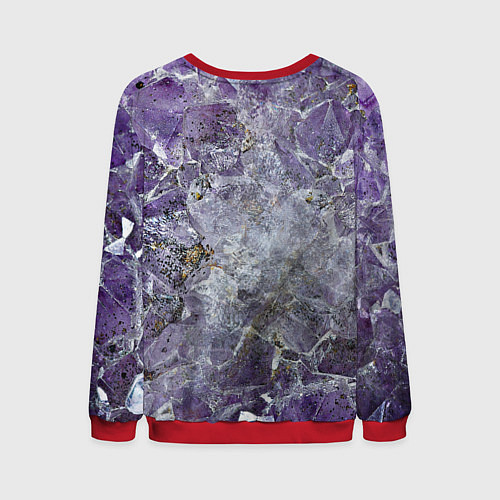 Мужской свитшот Роза инков / 3D-Красный – фото 2