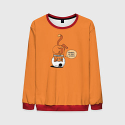 Мужской свитшот Хьюстон, у нас проблемы!