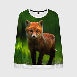 Мужской свитшот Маленький лисенок